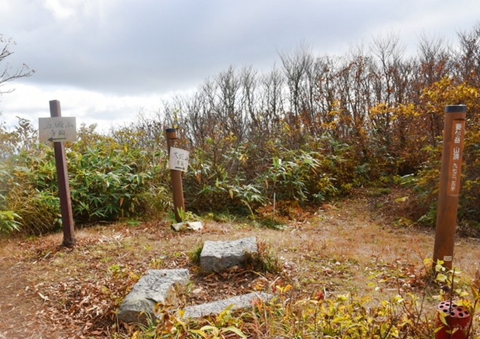 f:id:threepeaks:20201105213545j:plain f:id:threepeaks:20201105213545j:plain