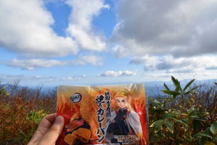 f:id:threepeaks:20201105214512j:plain f:id:threepeaks:20201105214512j:plain