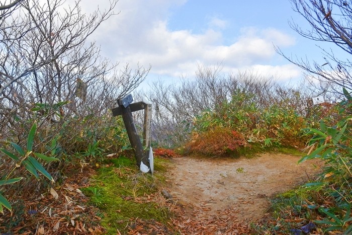 f:id:threepeaks:20201105220038j:plain f:id:threepeaks:20201105220038j:plain