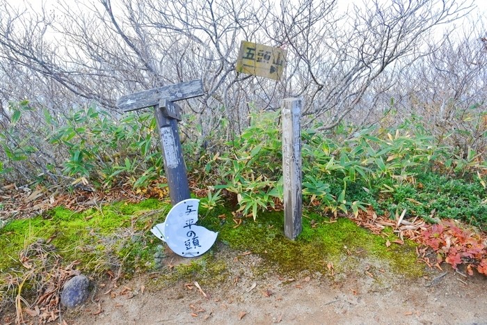 f:id:threepeaks:20201105220057j:plain f:id:threepeaks:20201105220057j:plain