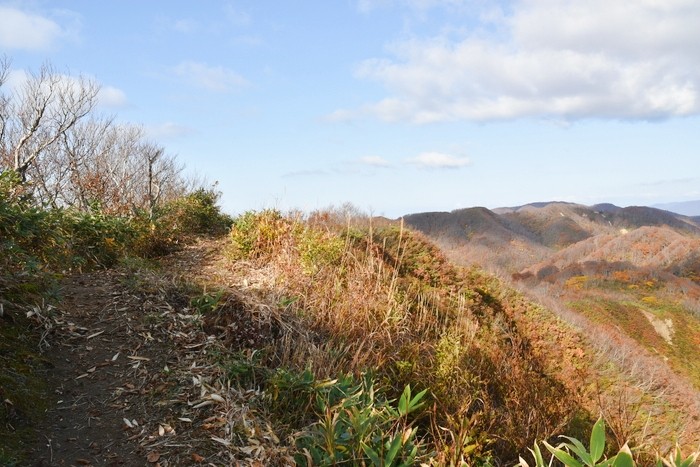 f:id:threepeaks:20201105220306j:plain f:id:threepeaks:20201105220306j:plain