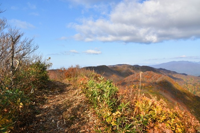 f:id:threepeaks:20201105221227j:plain f:id:threepeaks:20201105221227j:plain