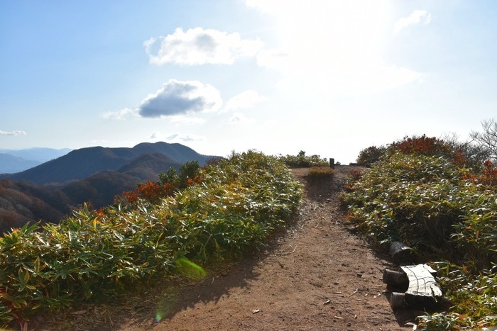 f:id:threepeaks:20201105221631j:plain f:id:threepeaks:20201105221631j:plain