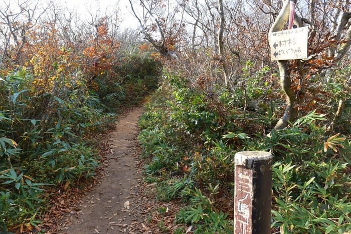 f:id:threepeaks:20201105222036j:plain f:id:threepeaks:20201105222036j:plain