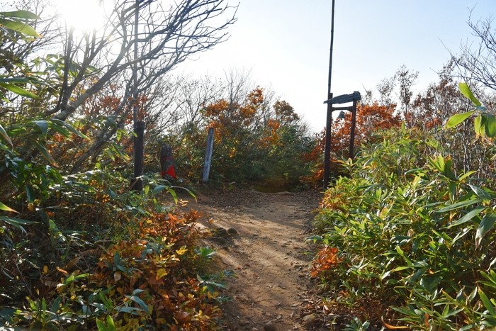 f:id:threepeaks:20201105222111j:plain f:id:threepeaks:20201105222111j:plain