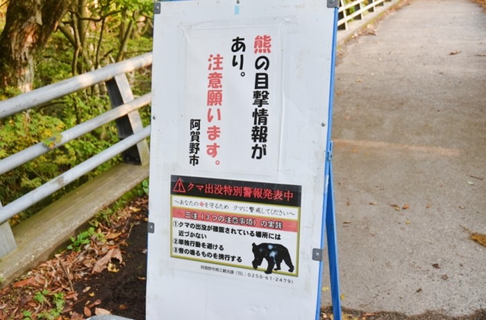 f:id:threepeaks:20201105222613j:plain f:id:threepeaks:20201105222613j:plain