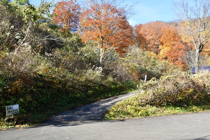 f:id:threepeaks:20201116205809j:plain