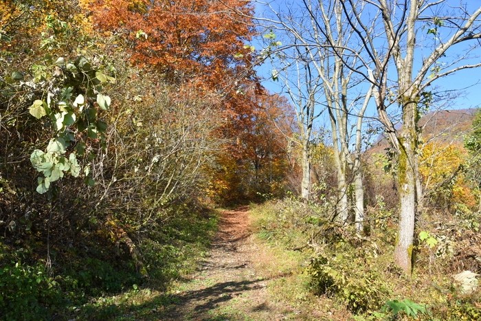 f:id:threepeaks:20201117195333j:plain