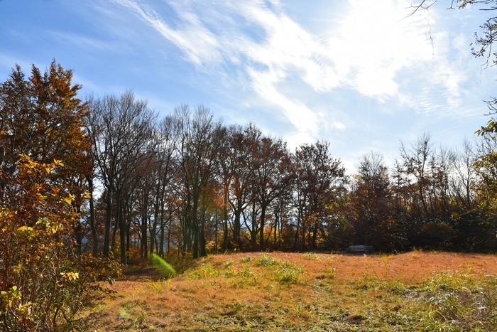 f:id:threepeaks:20201117195831j:plain