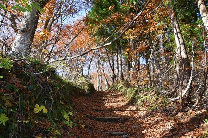 f:id:threepeaks:20201117200135j:plain