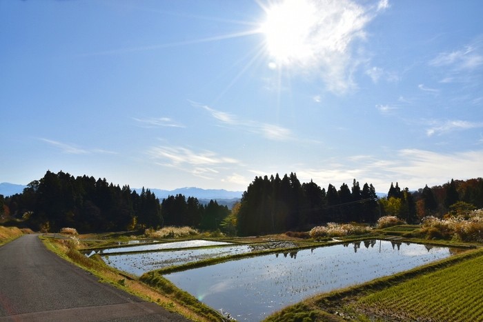 f:id:threepeaks:20201117200841j:plain