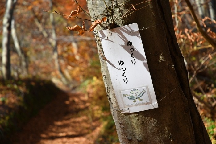 f:id:threepeaks:20201117203229j:plain