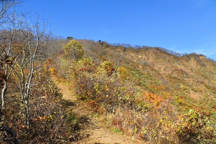 f:id:threepeaks:20201117203610j:plain