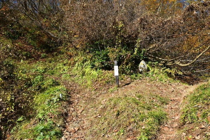 f:id:threepeaks:20201117203816j:plain