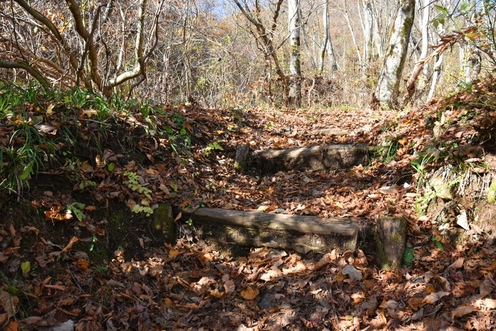 f:id:threepeaks:20201117204619j:plain