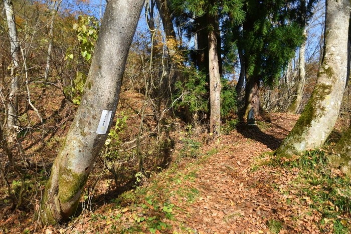 f:id:threepeaks:20201117204705j:plain