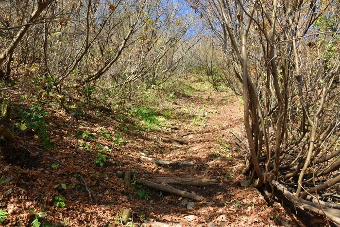 f:id:threepeaks:20201117204840j:plain