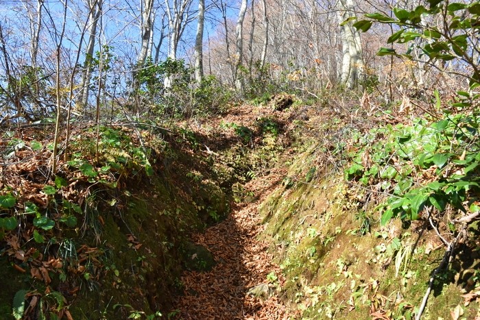 f:id:threepeaks:20201117205121j:plain