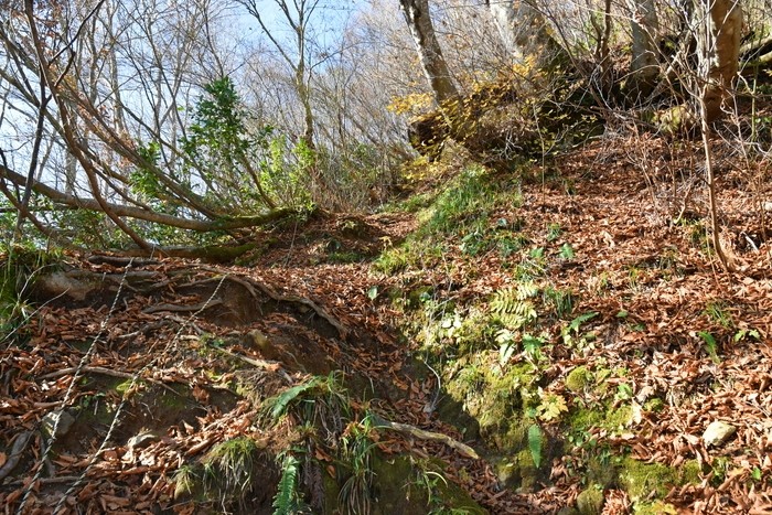 f:id:threepeaks:20201117205256j:plain