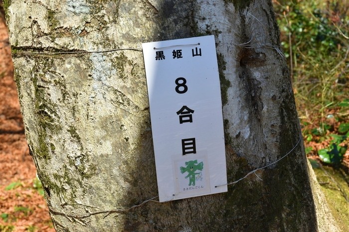 f:id:threepeaks:20201117205621j:plain