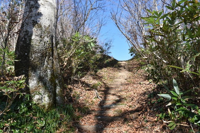 f:id:threepeaks:20201117205844j:plain