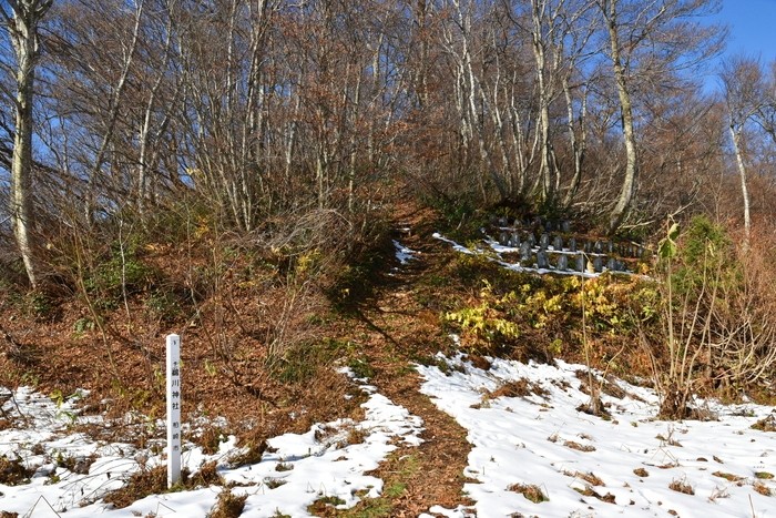 f:id:threepeaks:20201117211041j:plain