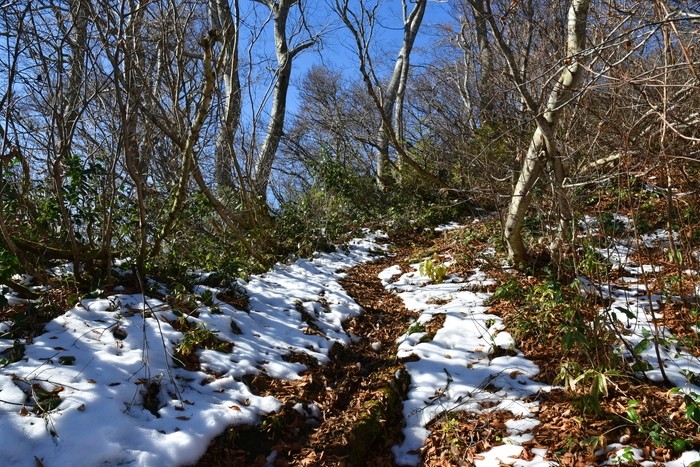 f:id:threepeaks:20201117211137j:plain