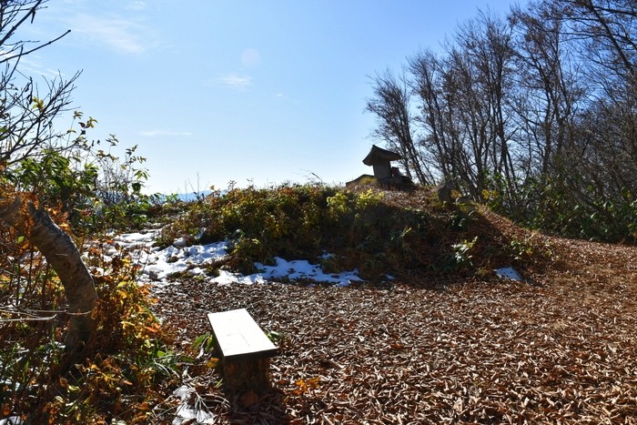 f:id:threepeaks:20201117211249j:plain