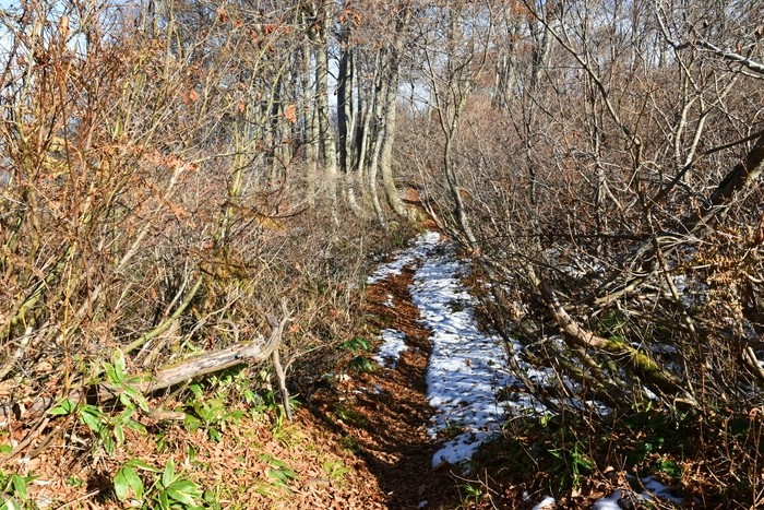 f:id:threepeaks:20201117212919j:plain