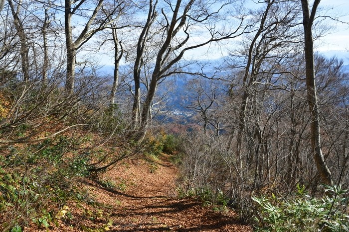 f:id:threepeaks:20201117214636j:plain