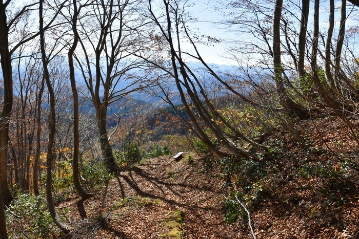 f:id:threepeaks:20201117214802j:plain