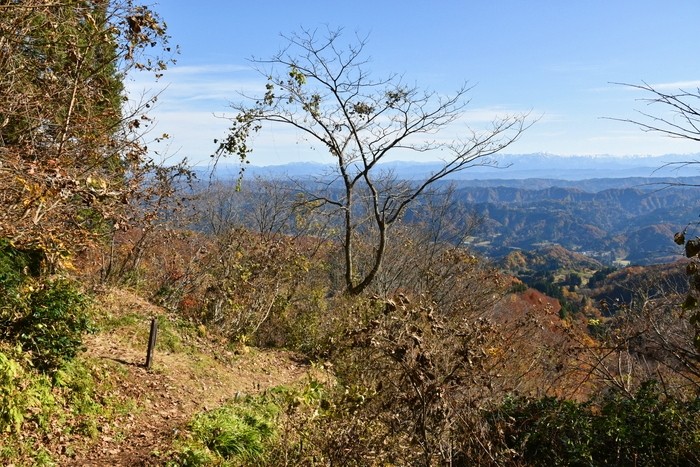 f:id:threepeaks:20201117214900j:plain