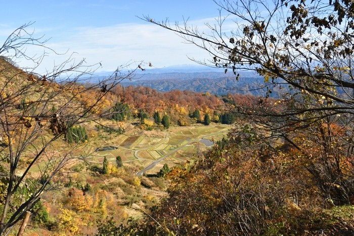 f:id:threepeaks:20201117214923j:plain