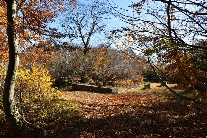 f:id:threepeaks:20201117214958j:plain