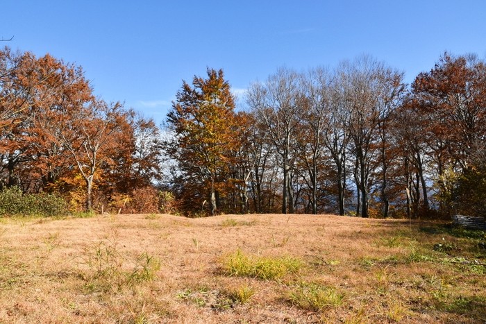 f:id:threepeaks:20201117215022j:plain