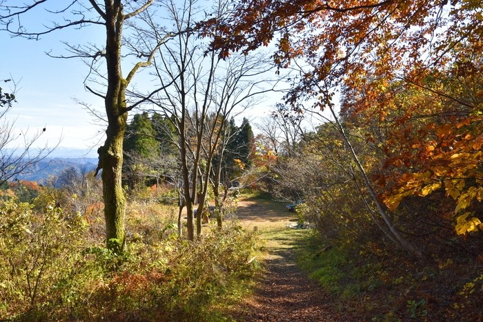 f:id:threepeaks:20201117215154j:plain