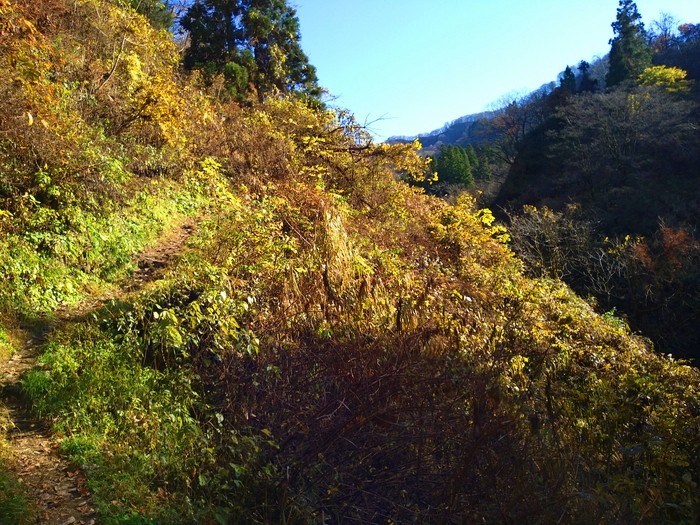 f:id:threepeaks:20201122210721j:plain