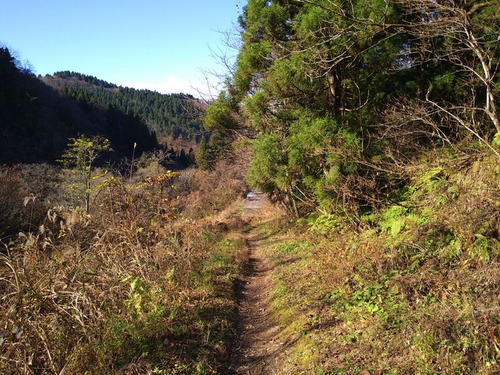 f:id:threepeaks:20201122210806j:plain