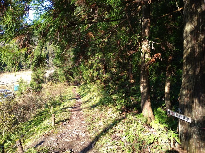 f:id:threepeaks:20201122211335j:plain