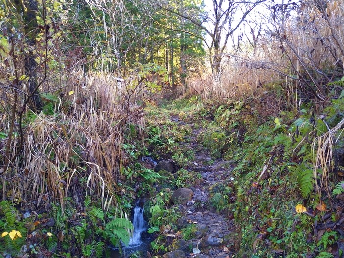 f:id:threepeaks:20201122211601j:plain