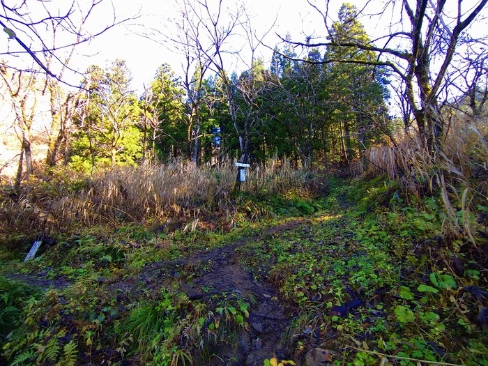 f:id:threepeaks:20201122211731j:plain