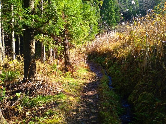 f:id:threepeaks:20201122212011j:plain