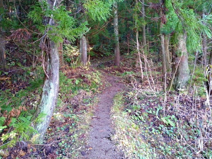 f:id:threepeaks:20201122212107j:plain