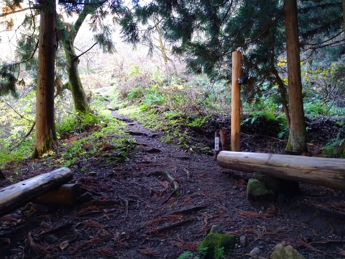 f:id:threepeaks:20201122212141j:plain