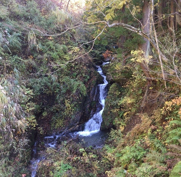 f:id:threepeaks:20201122213204j:plain