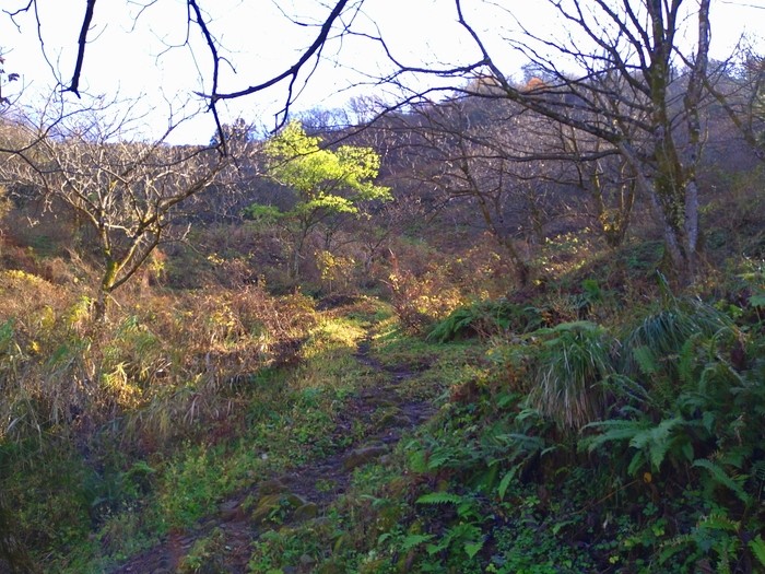 f:id:threepeaks:20201122213430j:plain