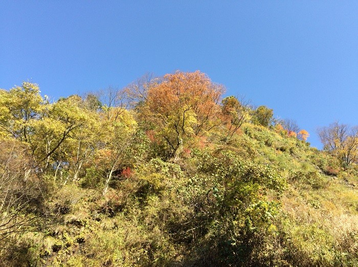 f:id:threepeaks:20201122213516j:plain