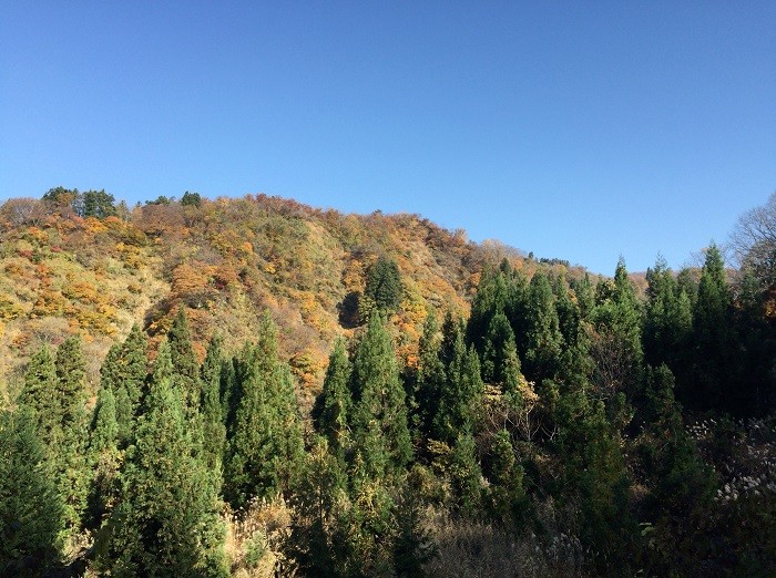 f:id:threepeaks:20201122213553j:plain