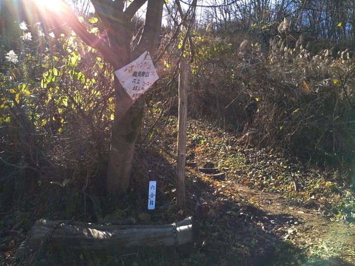 f:id:threepeaks:20201122213725j:plain