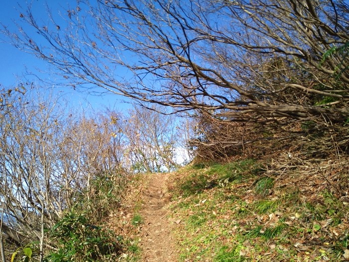 f:id:threepeaks:20201122214209j:plain